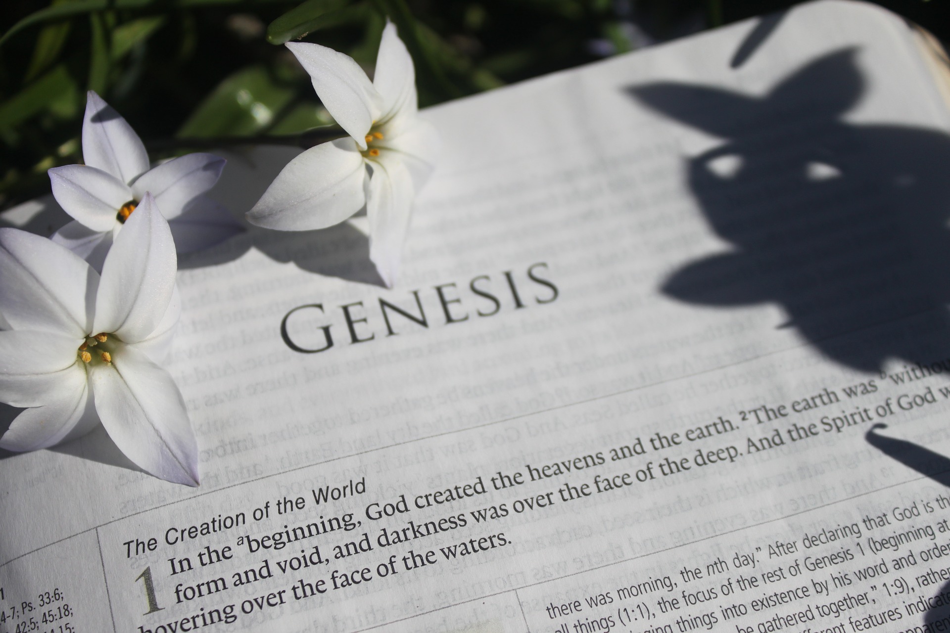 book of Genesis
