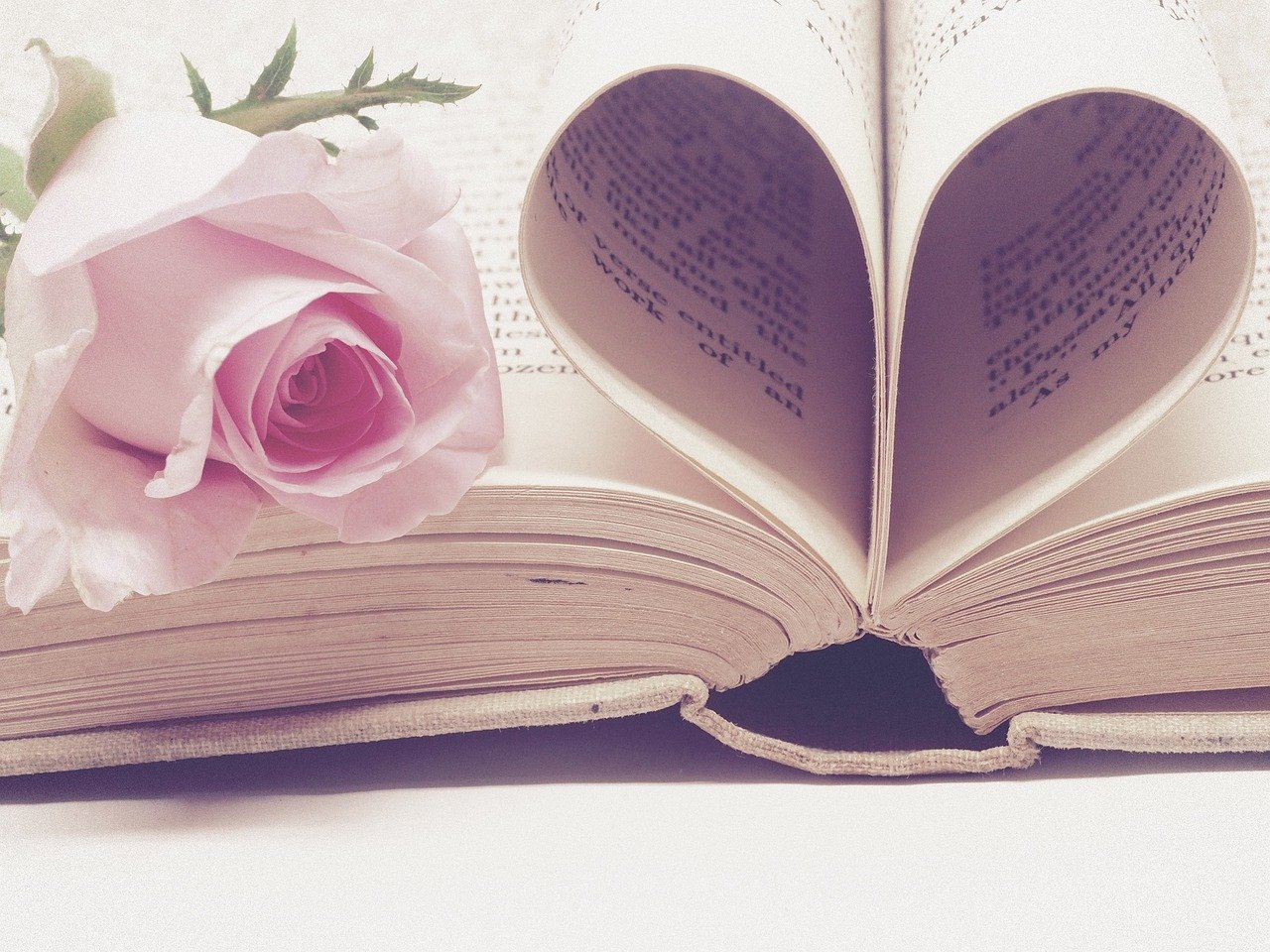 book & love